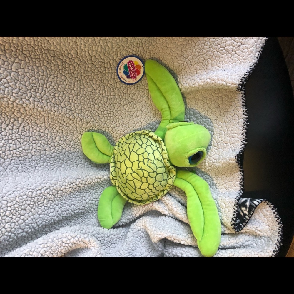 Adorable Turtle stuffed animal